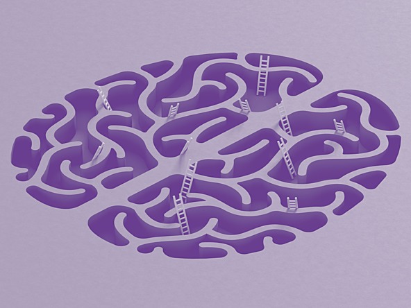 purple illustration of a brain with ladders going in between the folds